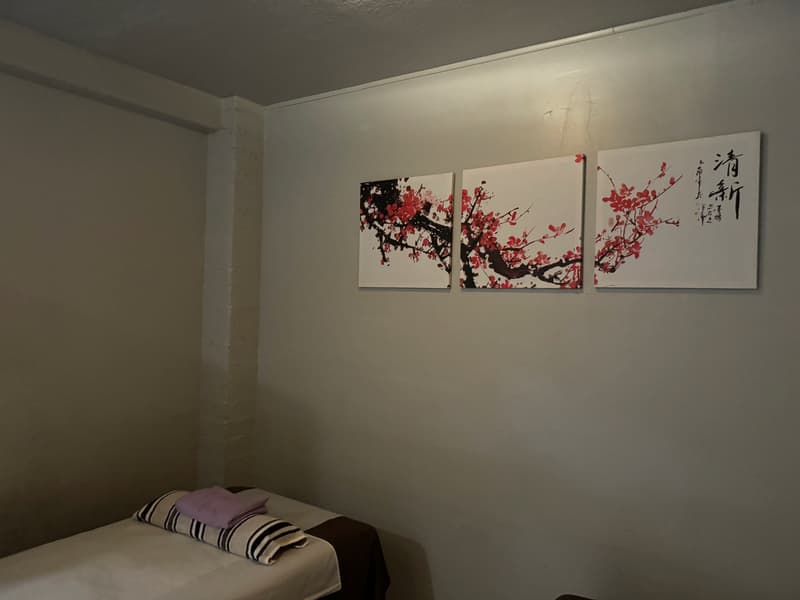 Single massage room with a made-up table and a cherry-blossom triptych